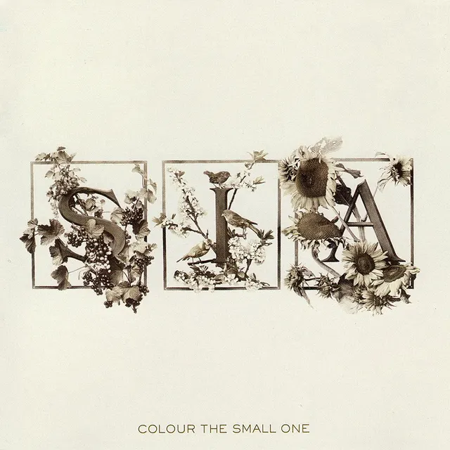 Portada de Colour the Small One