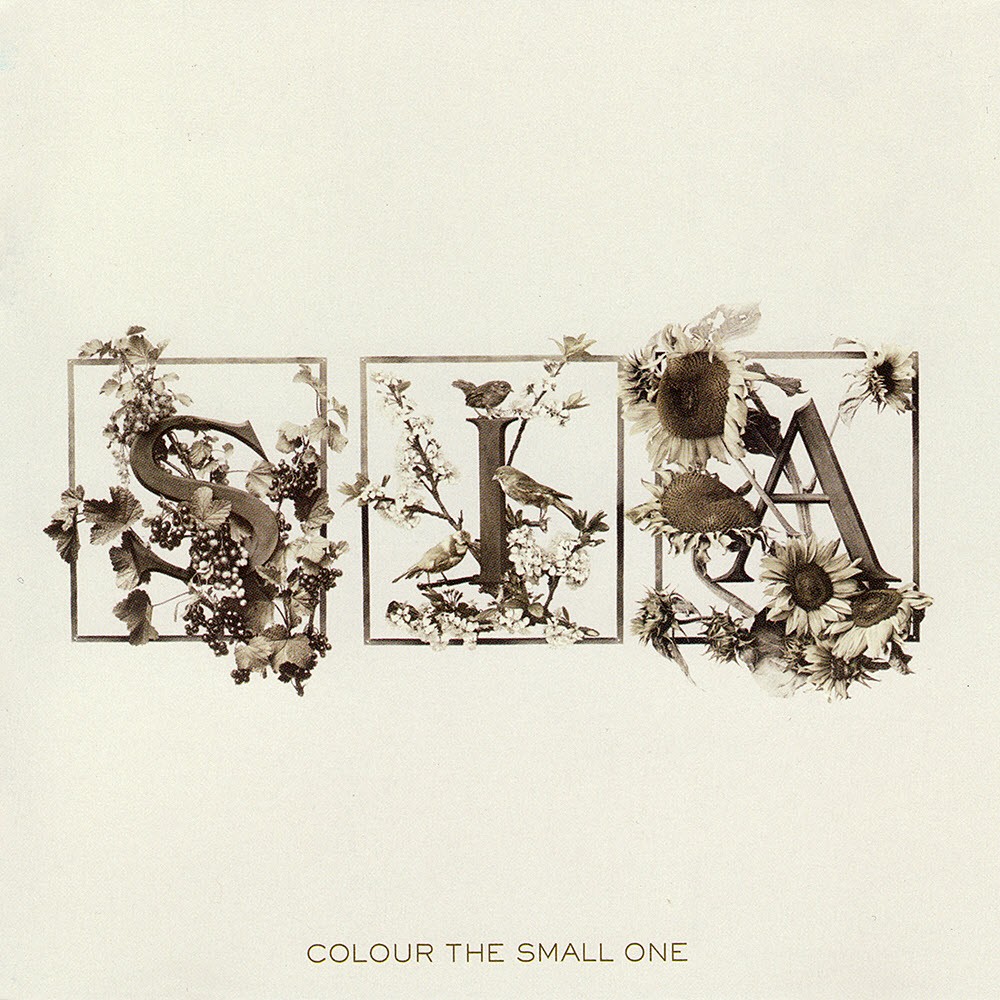 Portada de Colour the Small One