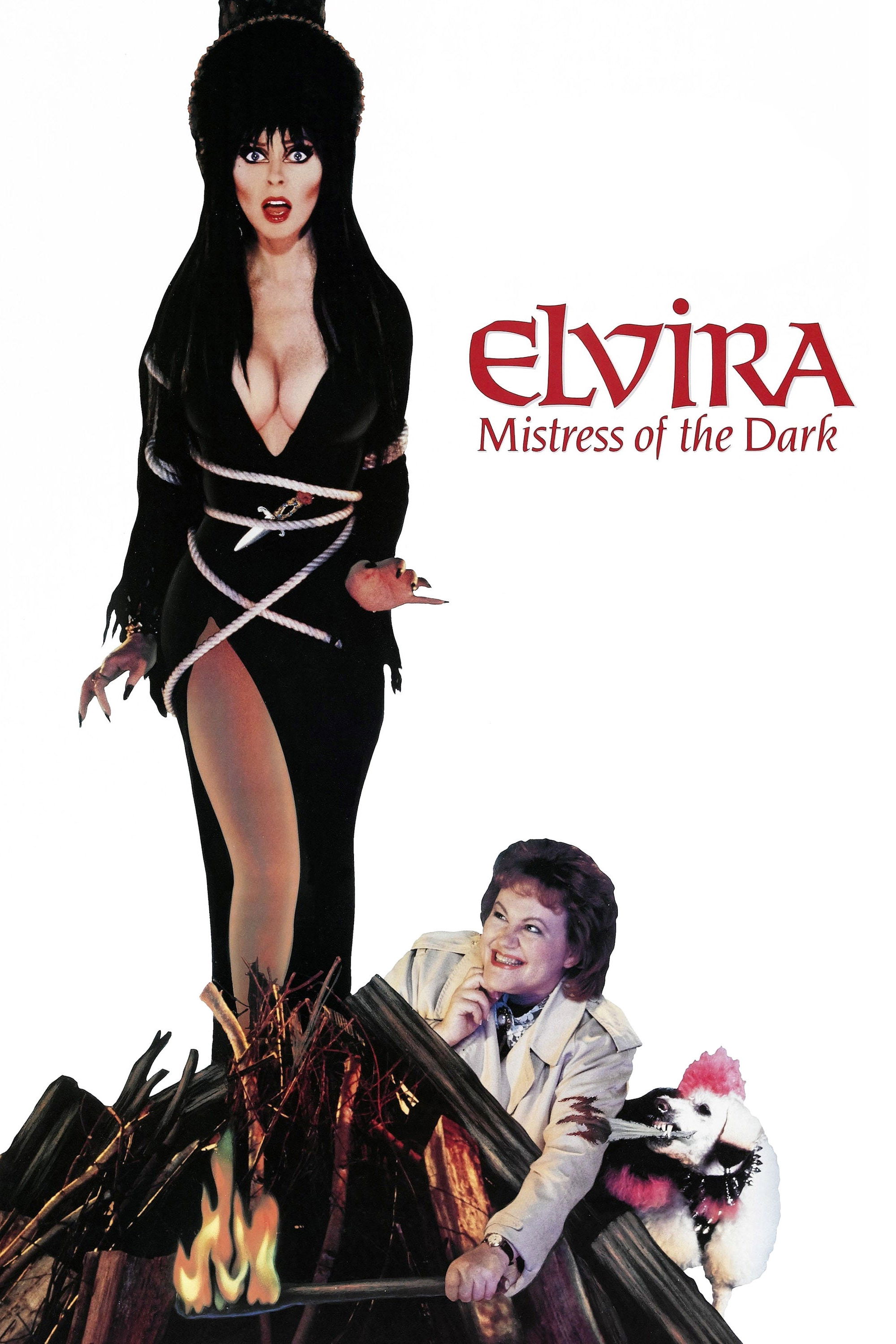 Póster de Elvira, la dama de la oscuridad